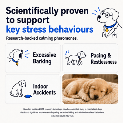 Pawsora - Dog Diffuser - DAP Pheromone - Dog appeasing pheromone - Pet Diffuser - Dog sleep - Dog anxiety